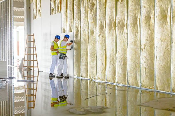 Best Insulation for New Construction  in USA